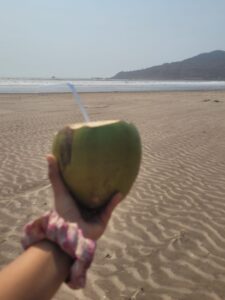 Having coconut water at Srivardhan beach.