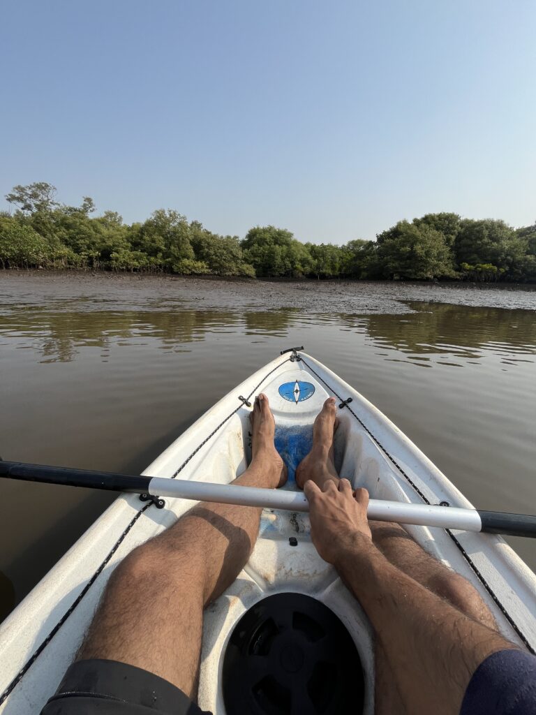 Mangrove Kayaking in Anjarle